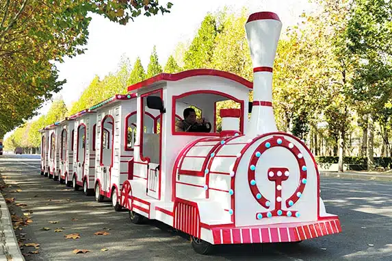 Park Train Carnival Ride Export to Myanmar
