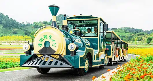 24 Seats Electric Trackless Train Ride