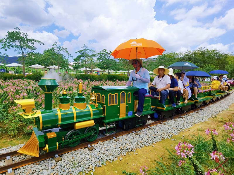 Flower Field Track Train Project Guide: How to Plan a Mini Electric Rail Train for Flower Parks