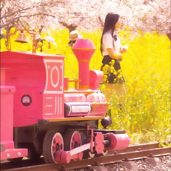 Close-up of a pink flower field mini train beside spring blossoms and yellow flowers, suitable for photo spots and family sightseeing routes