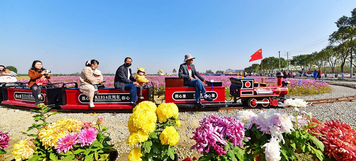 Ride-on track train carrying family visitors through a flower field attraction with open seats, fixed rail route and seasonal flowers